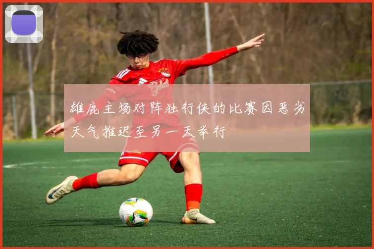 雄鹿主场对阵独行侠的比赛因恶劣天气推迟至另一天举行