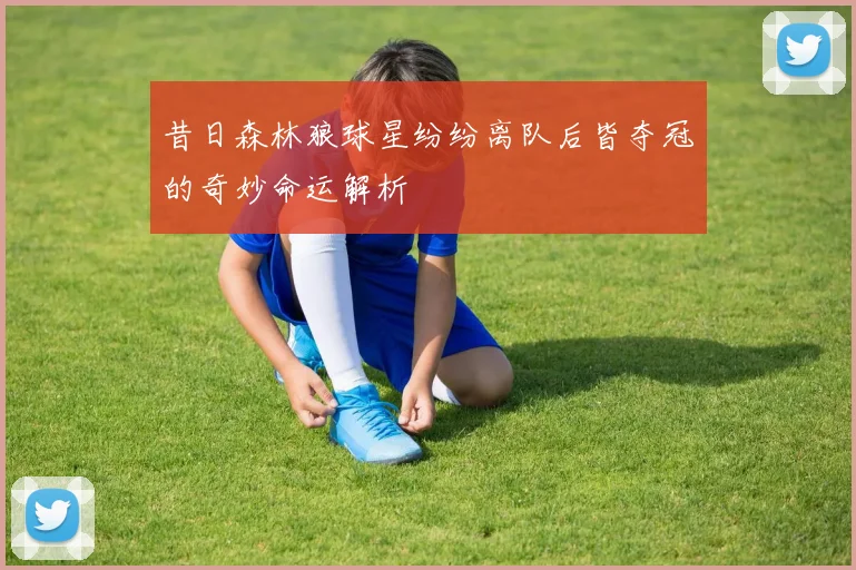 昔日森林狼球星纷纷离队后皆夺冠的奇妙命运解析