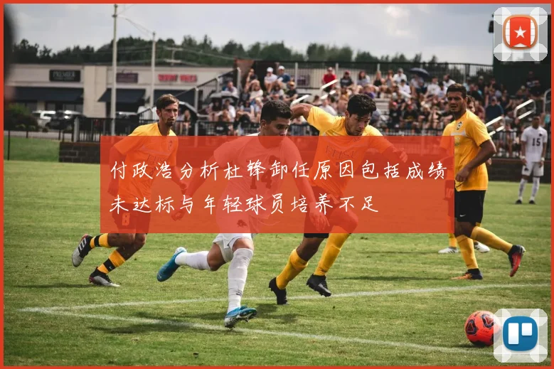 付政浩分析杜锋卸任原因包括成绩未达标与年轻球员培养不足