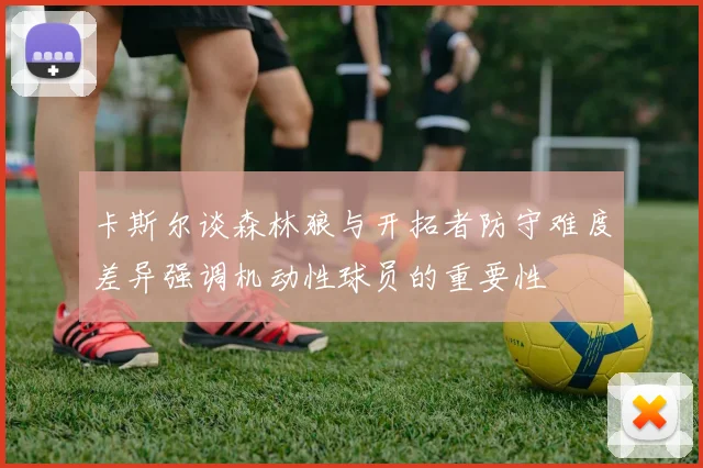 卡斯尔谈森林狼与开拓者防守难度差异强调机动性球员的重要性